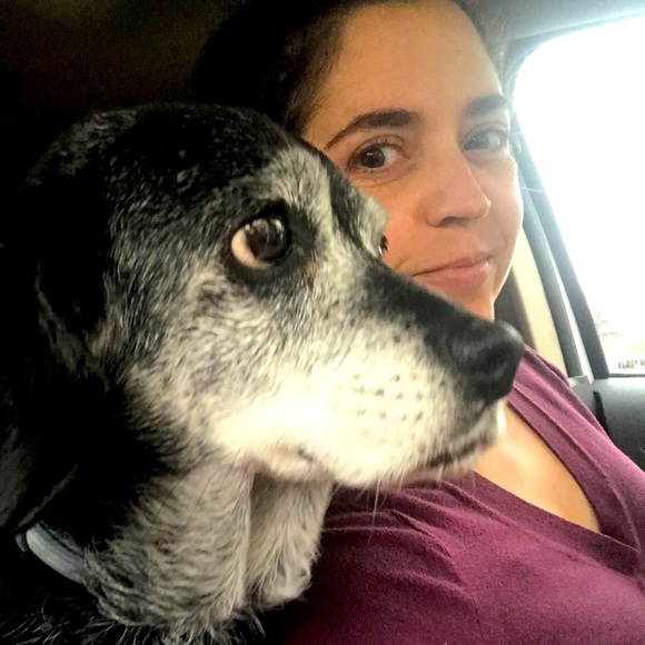 Meet The Posher - Picture 1 of 1